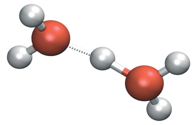 Zundel ion vergrößern!